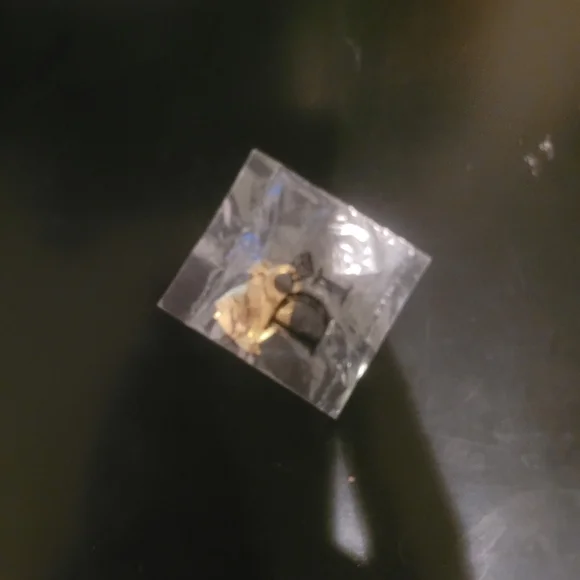 5/$10🔥 NEW D.I. Tropical Fish Charm & Bracelet - Picture 3 of 4